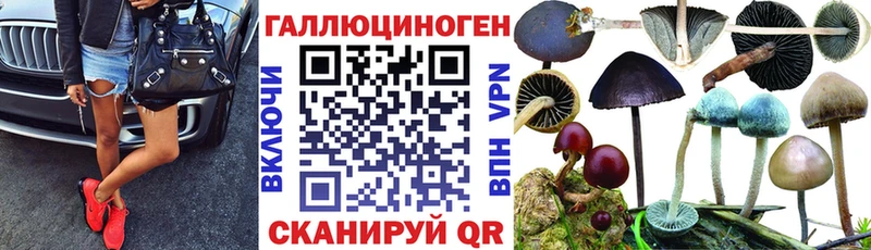Псилоцибиновые грибы Psilocybine cubensis цена Барыш