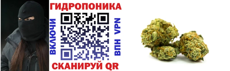 блэк спрут онион  Барыш  Шишки марихуана MAZAR 